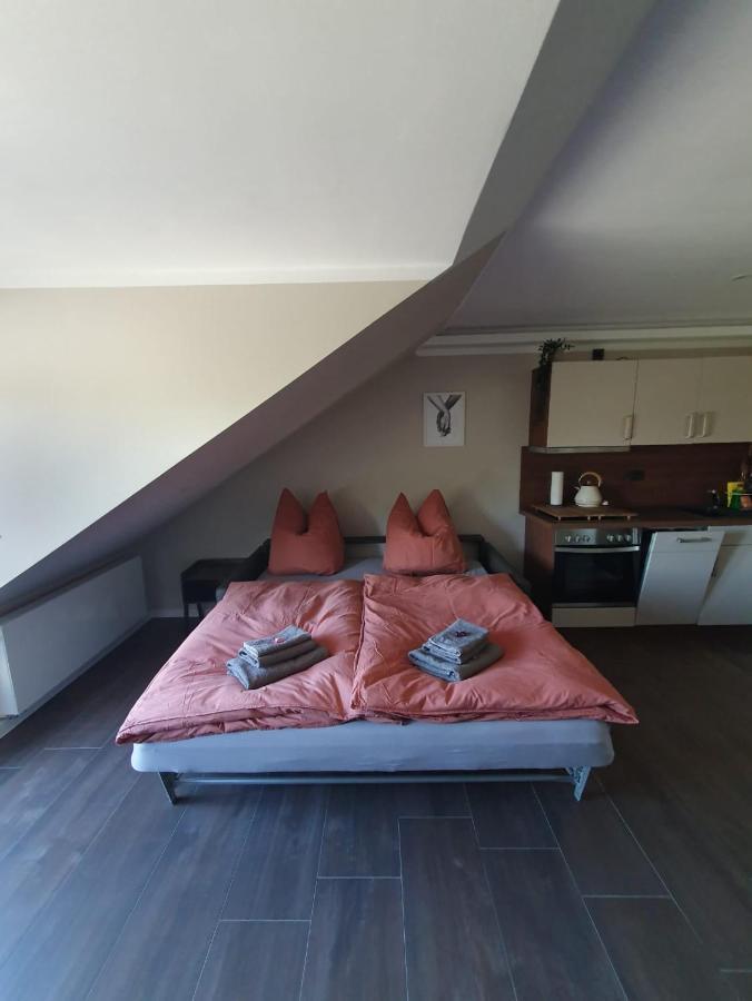 Neumuehler Hof- Ferienwohnung "Benjamin" Mit Grosser Privater Dachterasse Und Guter Anbindung In Die City Schwerin  Exterior foto